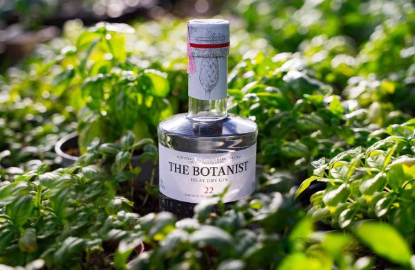 The World’s Best Alcohol For Yacht Charter