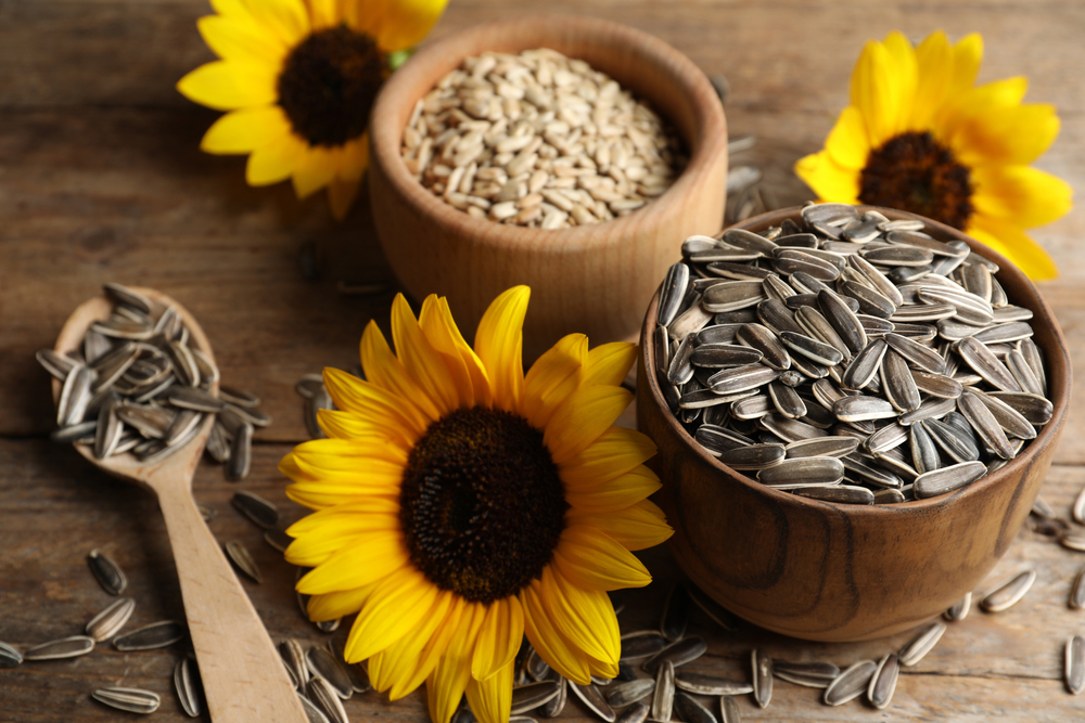 Two woodne bowls and wooden spoon, one is filled with peeled sunflower seeds, the other has unpeeled sunflower seeds which also are on the spoon. Three sunflowers are around the bowls.