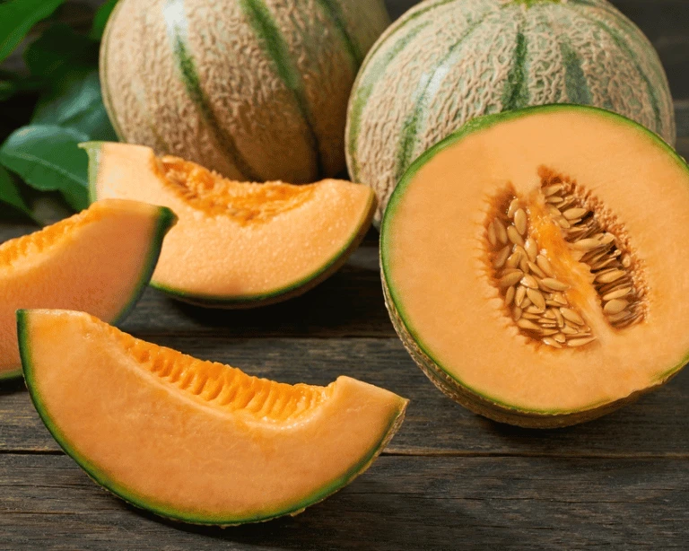 Japanese Melon