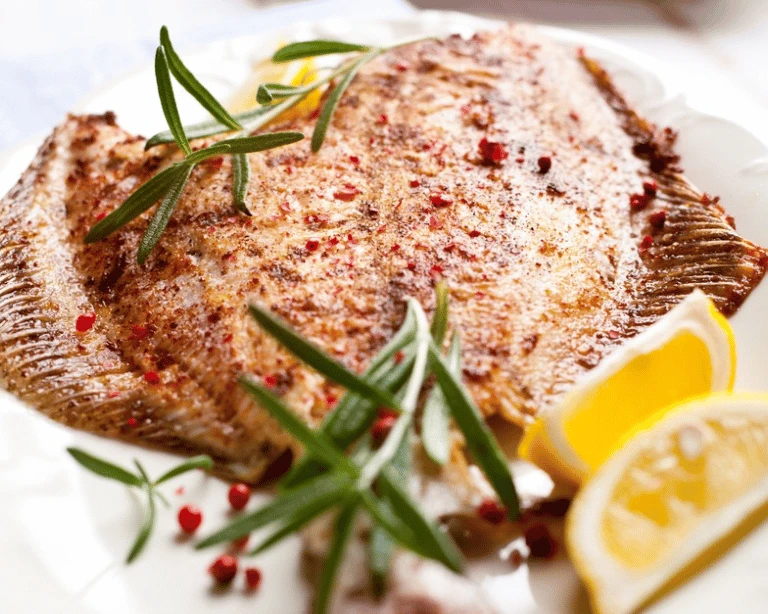 Turbot