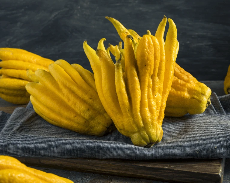Yuzu and Buddha’s Hand Lemons